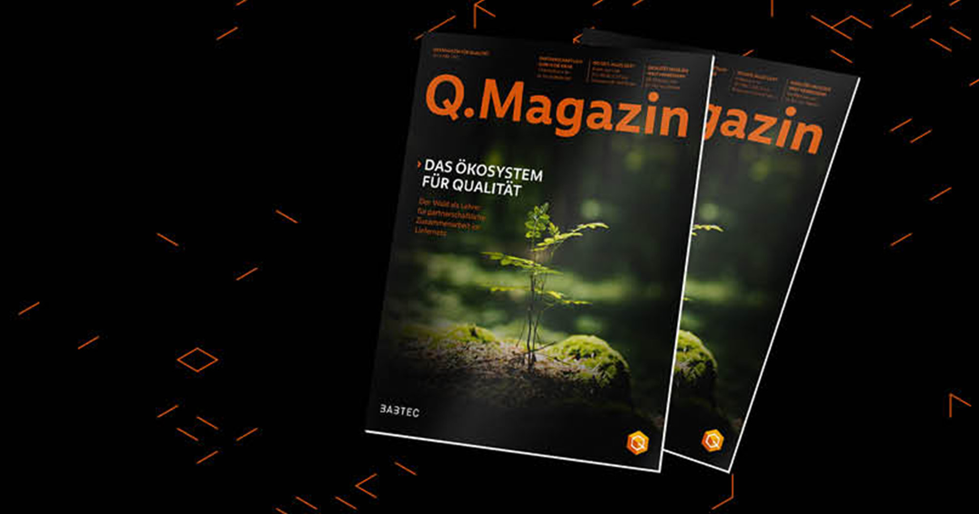 Cover Q.Magazin 2021