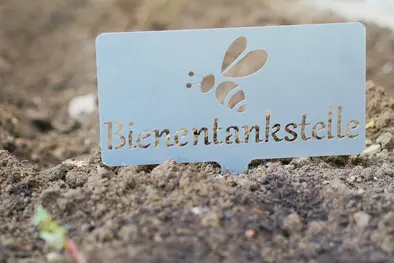 Beet mit Schild "Bienentankstelle"