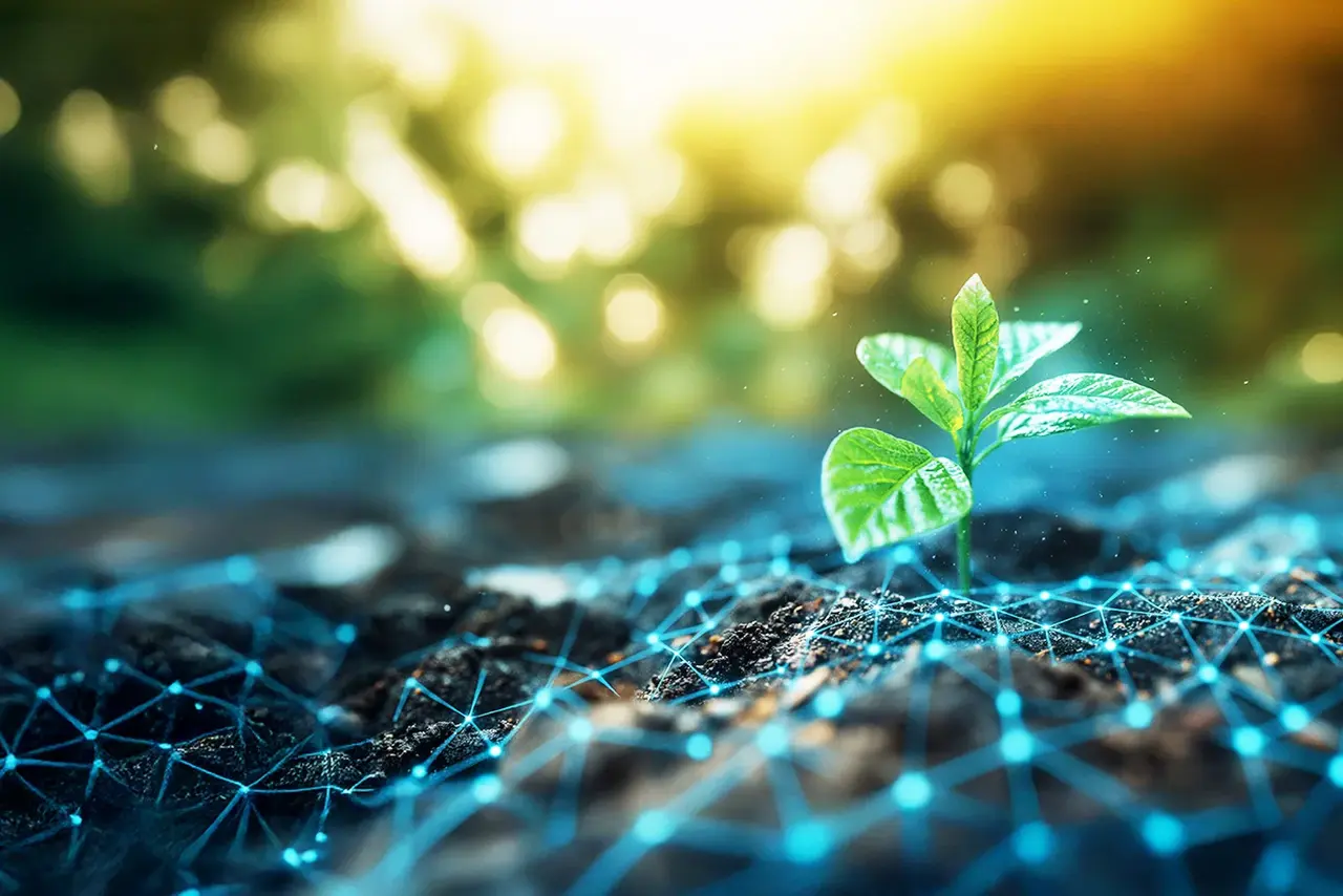 Eine Pflanze wächst aus der Erde