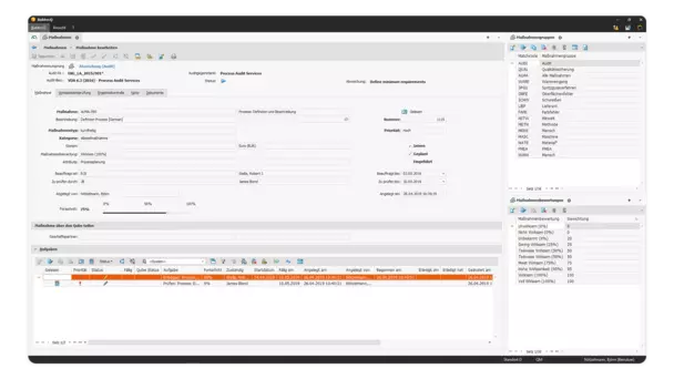 Maßnahmenmanagement in BabtecQ Screenshot: Maßnahmenmanagement in BabtecQ