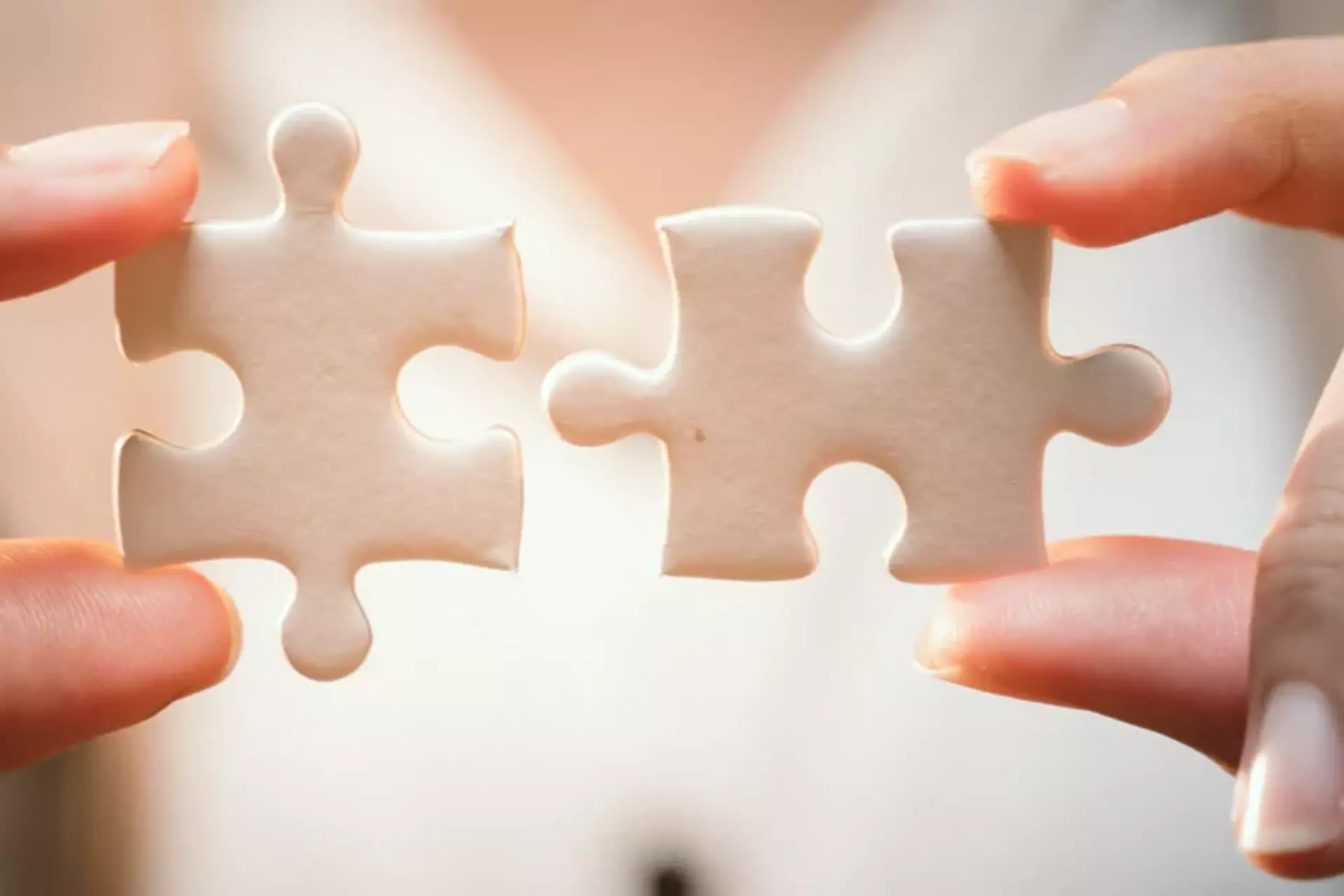Wie zwei Puzzleteile: QMS und IMS Zwei Puzzleteile, die aneinander gehalten werden