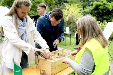 Gebaut wird eine Wildbienennistwand. Station im Wildbienen-Workshop
