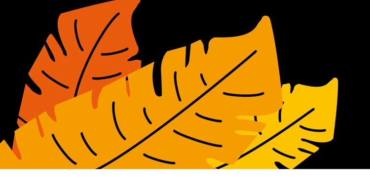 Grafische Darstellung von Blättern