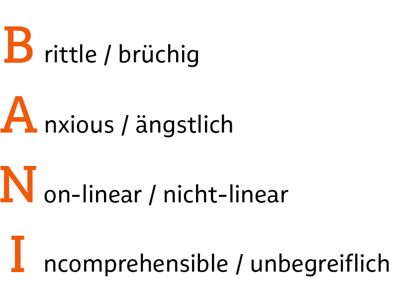 Typographische Darstellung von "BANI" und den Wörtern, aus denen sich das Akronym zusammensetzt.